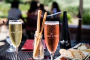 优雅与力量的完美结合—论世界杯球员太太世界杯球员太太