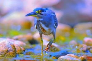 英国足球的崛起，2022世界杯夺冠实录世界杯英国夺冠