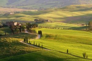 中国在世界杯中的崛起，从0到1的足球史诗世界杯中国都